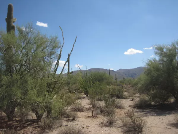 Marana, AZ 85658,000 N Owl Head Ranch Road #0