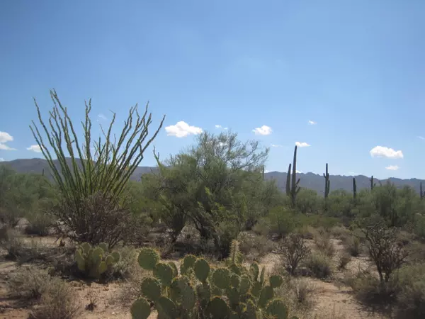 Marana, AZ 85658,000 N Owl Head Ranch Road #0