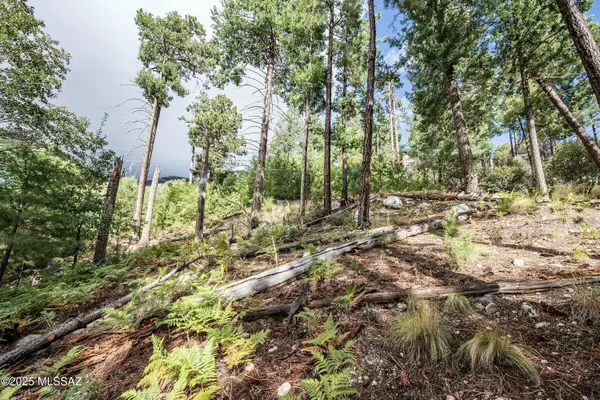 Mt. Lemmon, AZ 85619,11188 E Globe Street #9