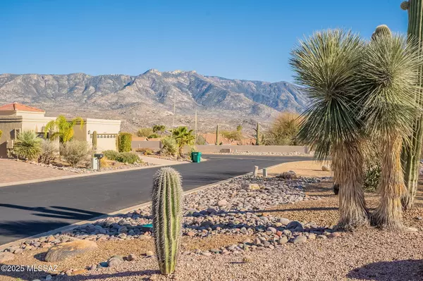 Tucson, AZ 85739,38324 S Silverwood Drive