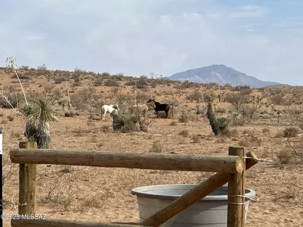 Pearce, AZ 85625,13220 S Hondo Lane