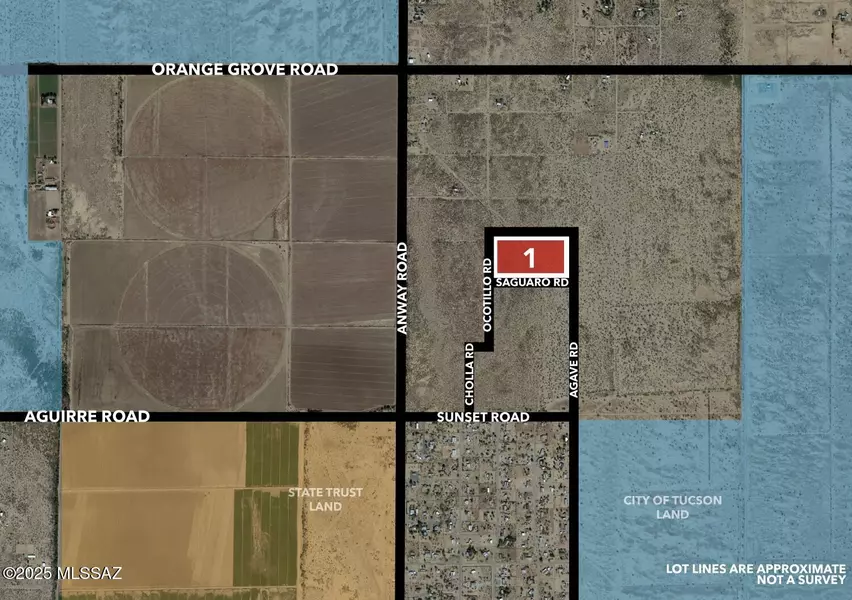 21acres W Saguaro & Agave Road #1, Marana, AZ 85653