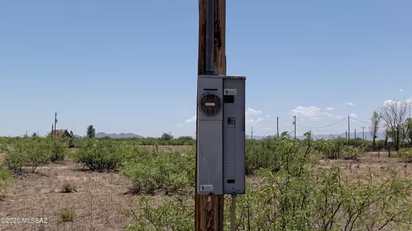 Willcox, AZ 85643,0 Bear Track Trail Trail #191