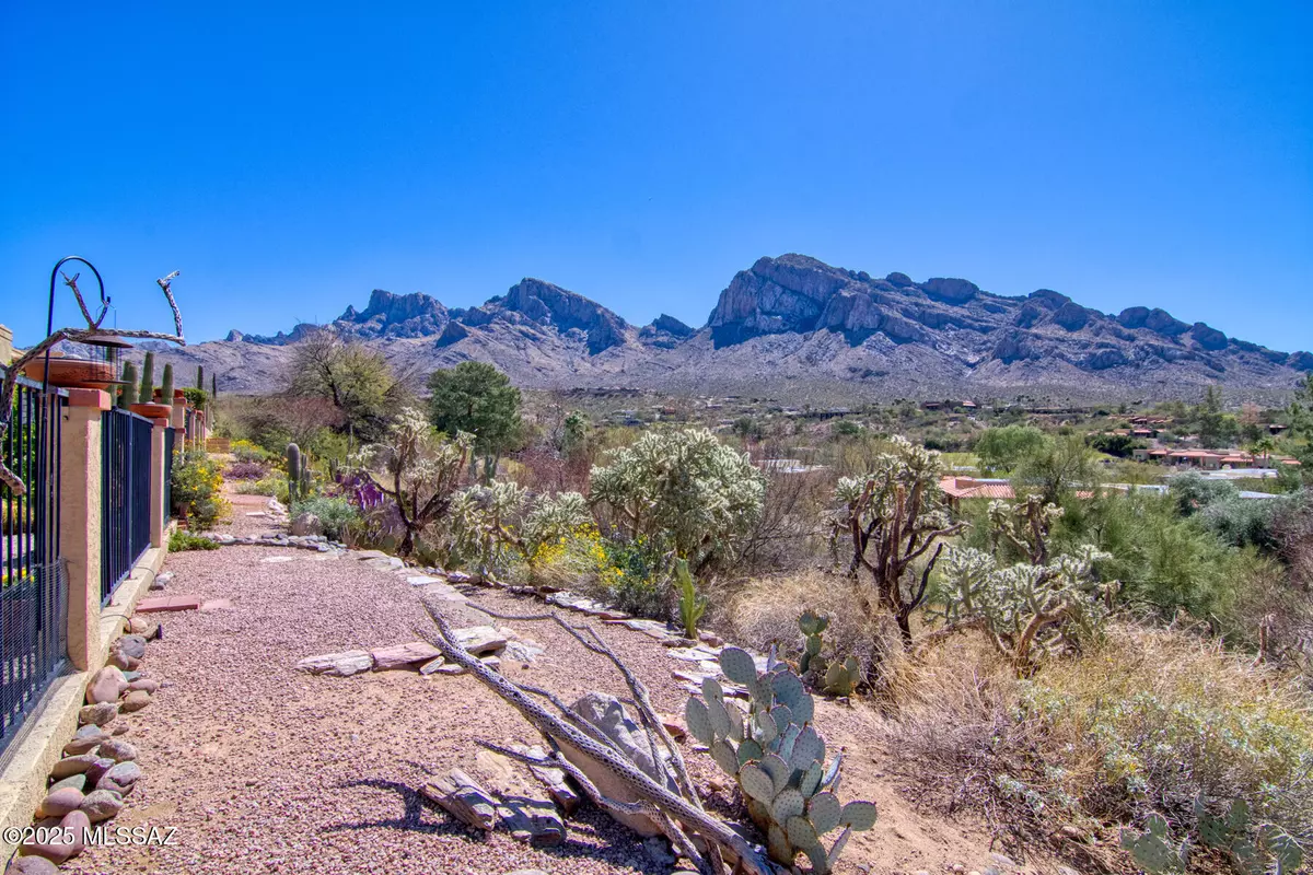 Oro Valley, AZ 85704,784 Cam Diestro
