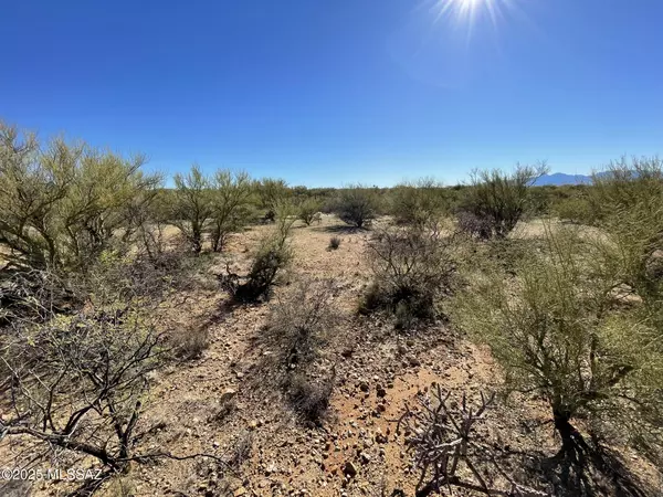 Tucson, AZ 85736,15879 Bolo W Place #247