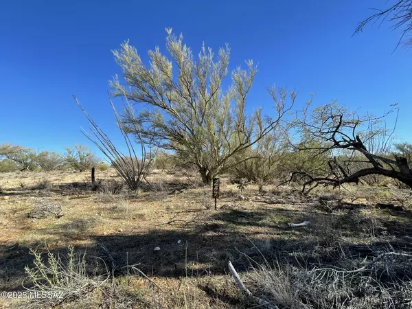 Tucson, AZ 85736,15879 W Bolo Place #247