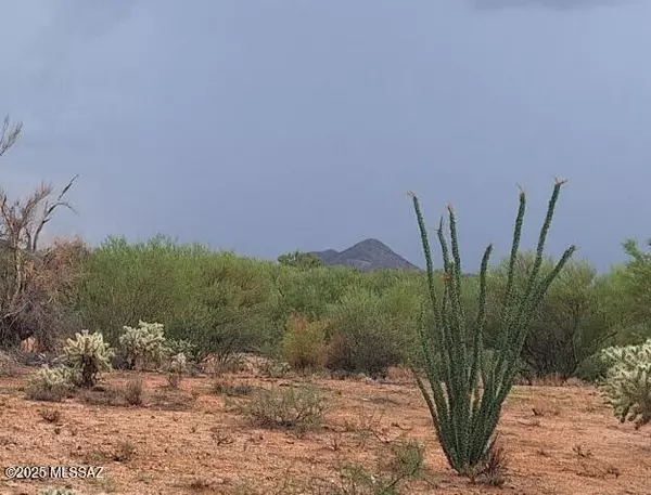 Tucson, AZ 85736,15879 W Bolo Place #247