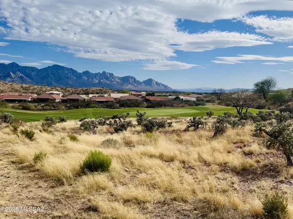 Saddlebrooke, AZ 85739,62159 E Iron Crest Drive