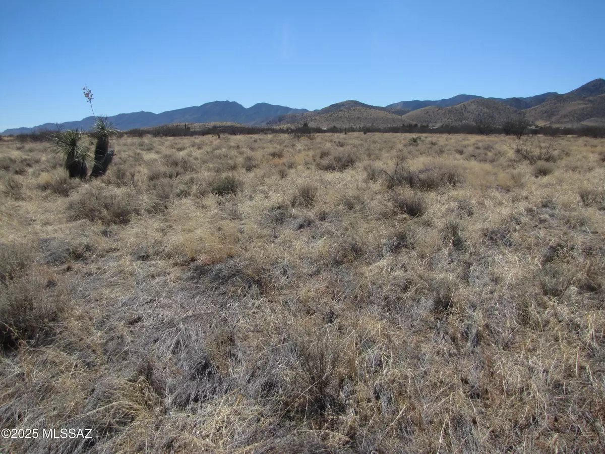 Pearce, AZ 85625,TBD Justin Street #4