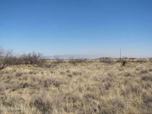 Pearce, AZ 85625,TBD Justin Street #4