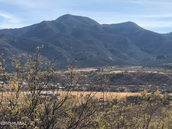 Patagonia, AZ 85624,TBD Hwy 82 #5