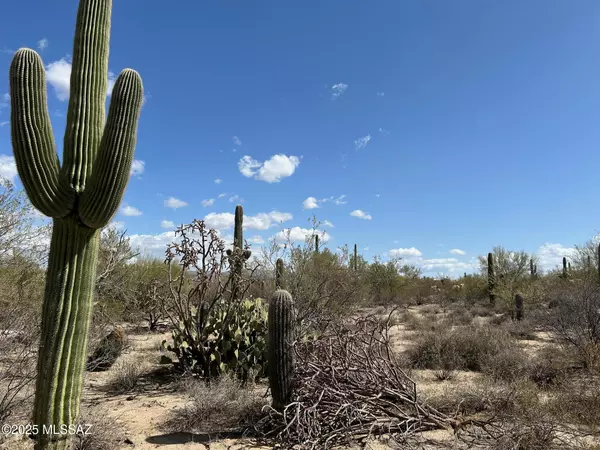 Tucson, AZ 85742,5020 W Lambert Lane