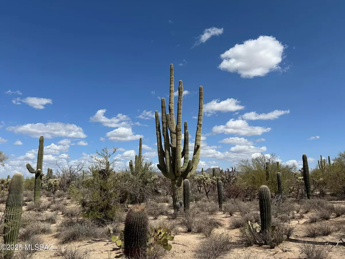 Tucson, AZ 85742,5020 W Lambert Lane