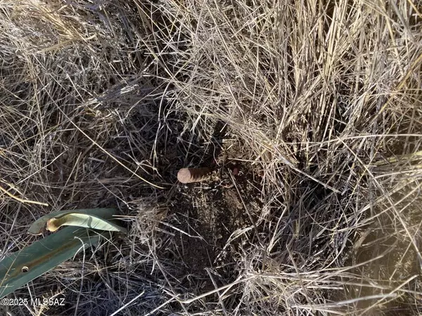 Sahuarita, AZ 85629,TBD W Lost Silver Lane #170