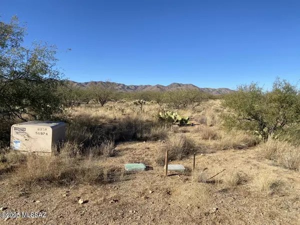 Sahuarita, AZ 85629,TBD W Lost Silver Lane #170