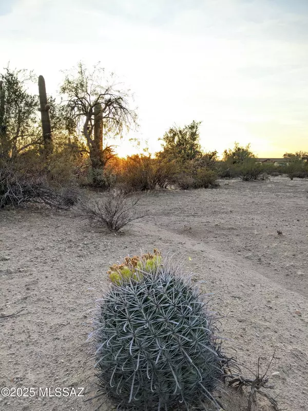 12417 W Nolen Road #0, Tucson, AZ 85743
