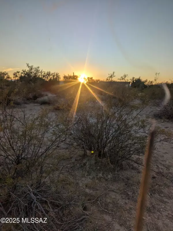 Tucson, AZ 85743,12417 W Nolen Road #0