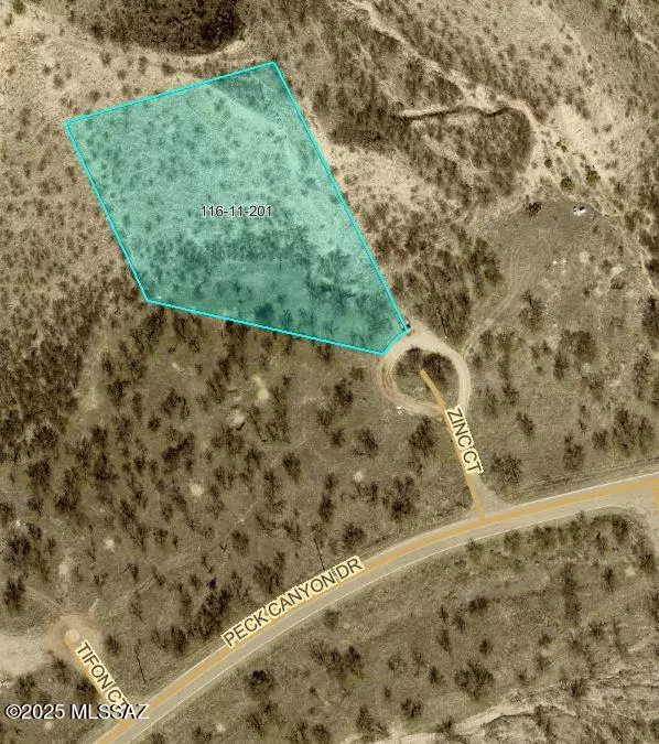 Rio Rico, AZ 85648,1424 Zinc Court #131