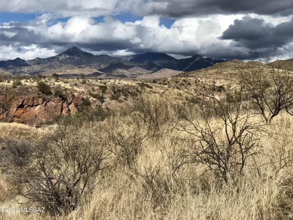 Rio Rico, AZ 85648,140 Canyon Pass Court #96