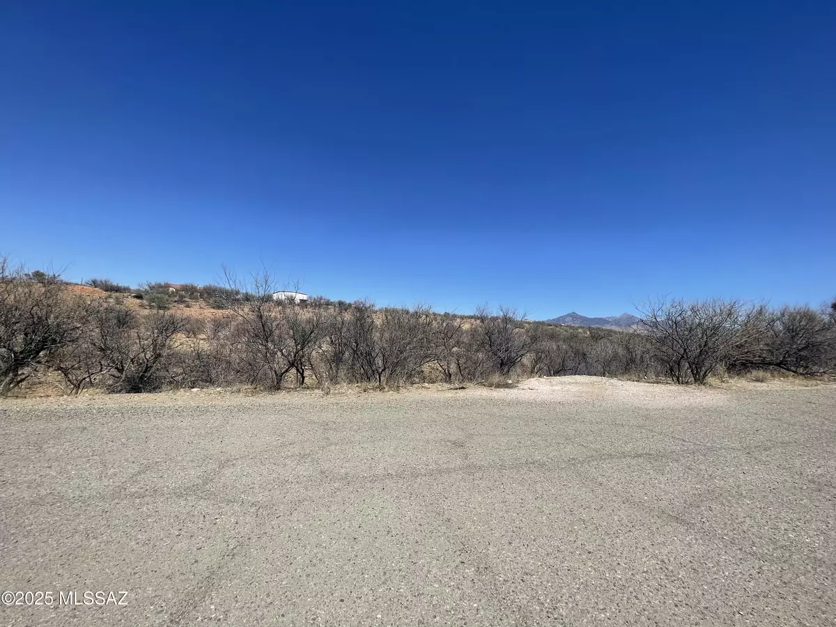 Rio Rico, AZ 85648,210 Avenida Pastor  #42