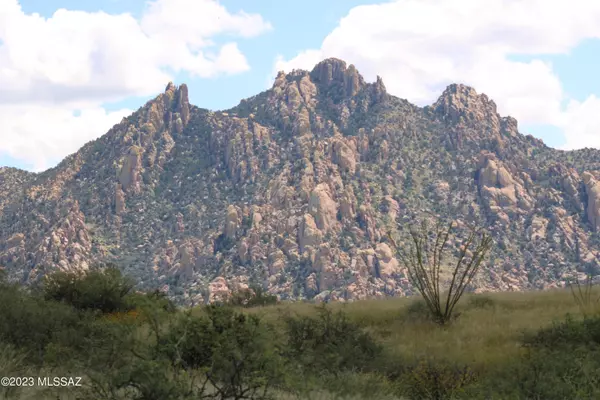 M167 N Fox Hollow Lane #167, St. David, AZ 85630