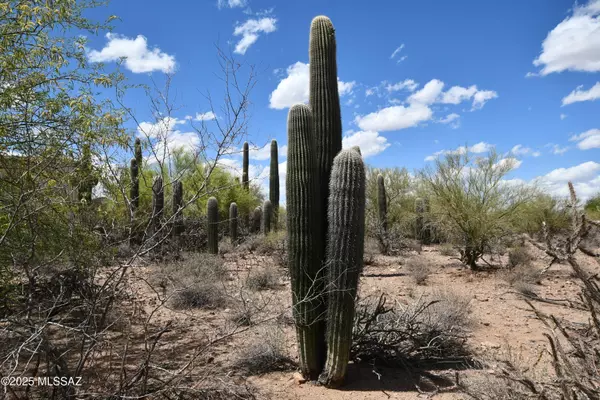 Tucson, AZ 85745,4840 N Avenida Corto  #6