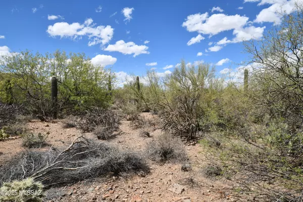 Tucson, AZ 85745,4840 N Avenida Corto  #6