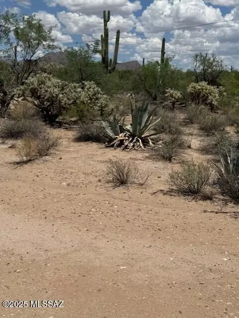 Marana, AZ 85658,5315 W Tangerine Road