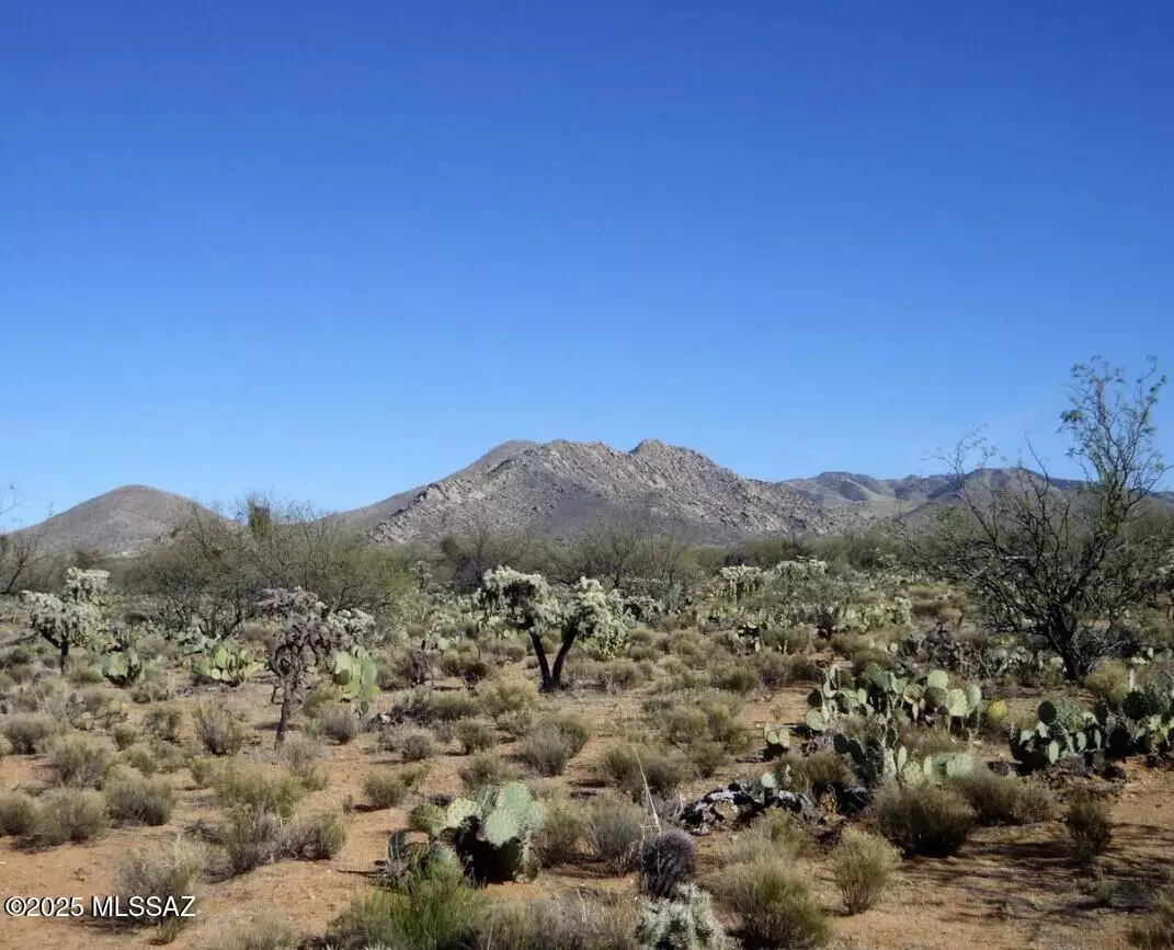 Tucson, AZ 85736,15007 S Carlburg Av Avenue #208