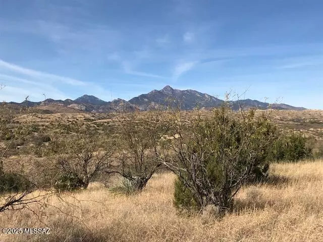 Patagonia, AZ 85624,TBD Camino La Paz  #8
