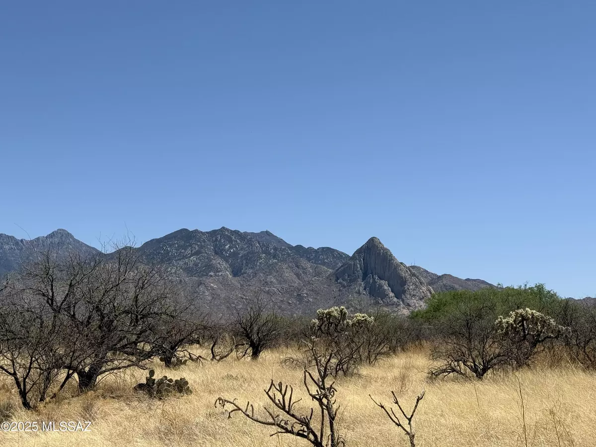 Amado, AZ 85645,657 W Hawk Way #19D