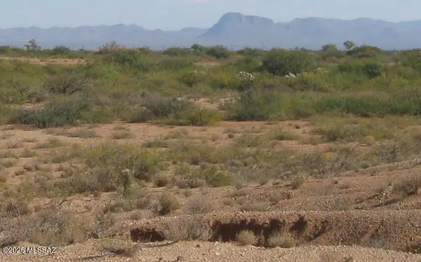 Bowie, AZ 85605,13 Ac Apache Pass Road
