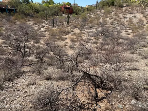 Tucson, AZ 85718,3961 E San Simeon Drive