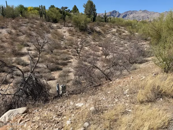 Tucson, AZ 85718,3961 E San Simeon Drive