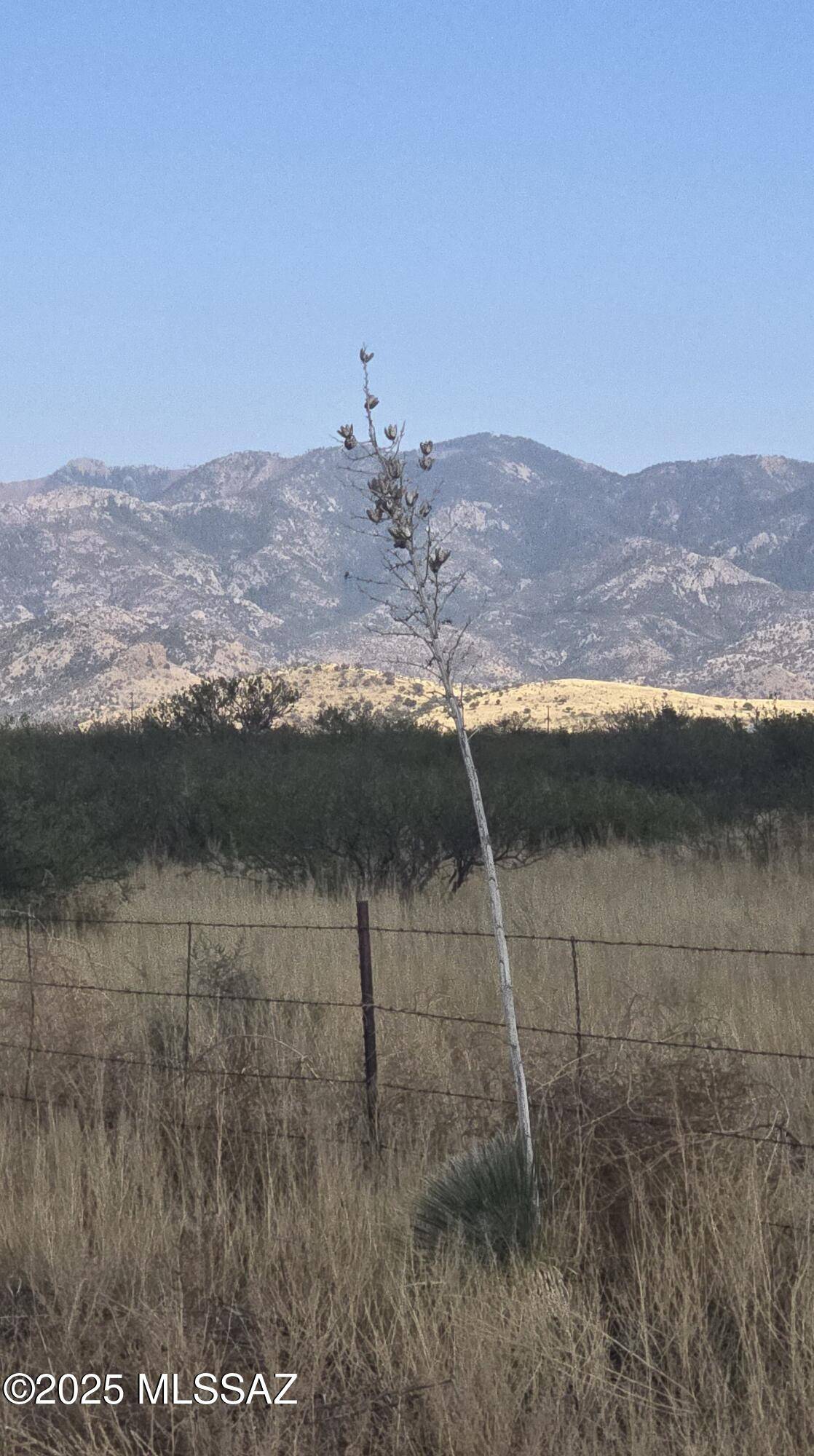 TBD 40 Acr E Sunrise Drive #A, Pearce, AZ 85625