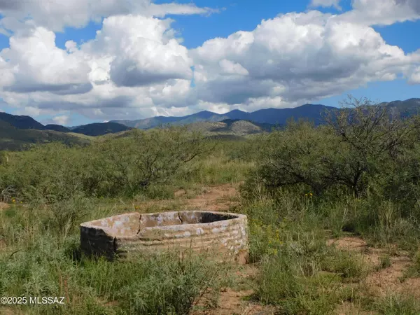 Pearce, AZ 85625,TBD 65 Acr E Sunrise Drive #C
