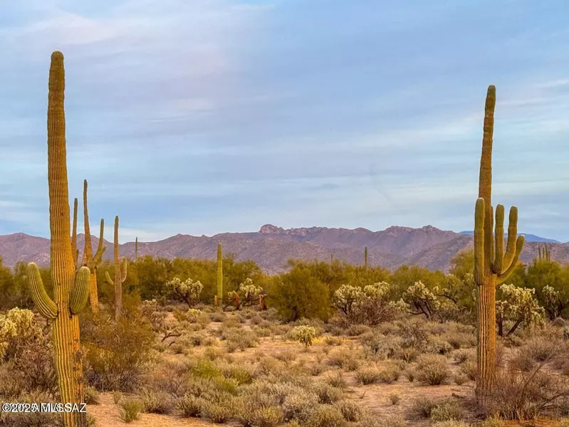 0 S Twin Hawk Ln Lot 3 (5 acres), Marana, AZ 85658