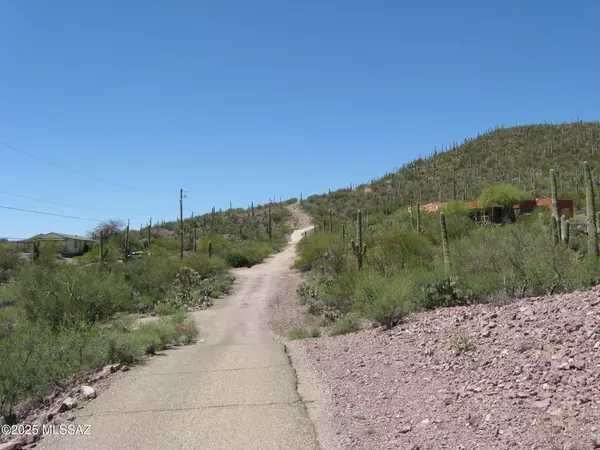 4300 W Weiding Road, Tucson, AZ 85746