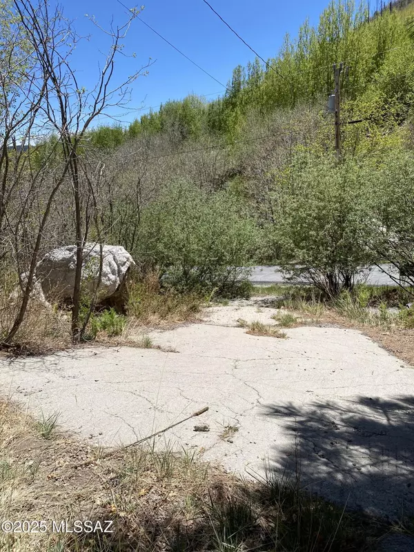 Mt. Lemmon, AZ 85619,10991 E Carter Canyon  #18