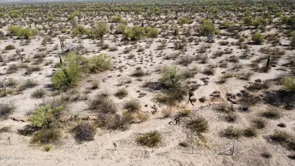 Marana, AZ 85658,S Wild Hardt Way