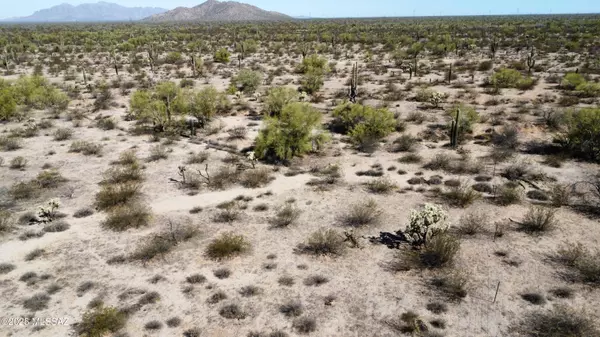 Marana, AZ 85658,S Wild Hardt Way