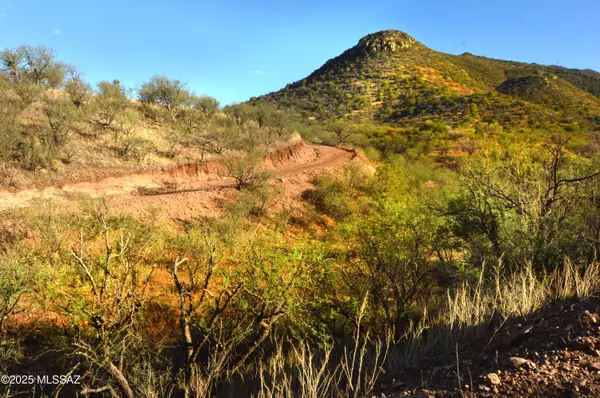 Patagonia, AZ 85624,TBD Harshaw Road #Lot 2