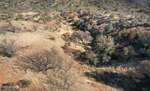 Patagonia, AZ 85624,TBD Harshaw Road #Lot 2