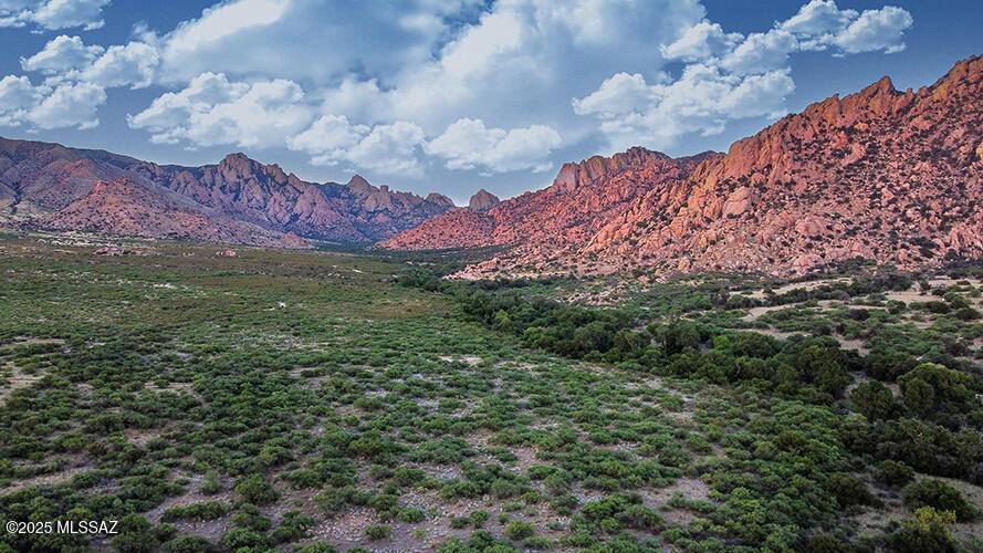 F196 E Horse Ranch Road #196, Pearce, AZ 85625