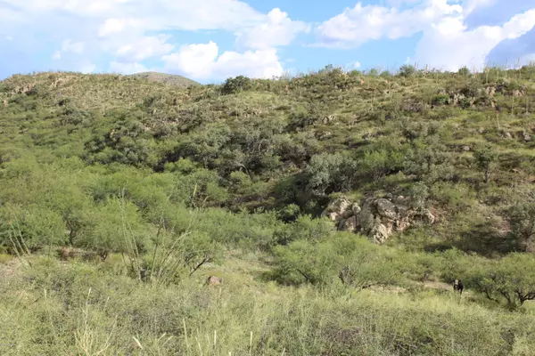 Tubac, AZ 85646,TBD Winery Springs Road #60
