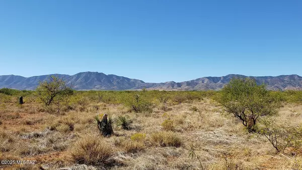 Pearce, AZ 85625,1 Lot W Arbor Street #5