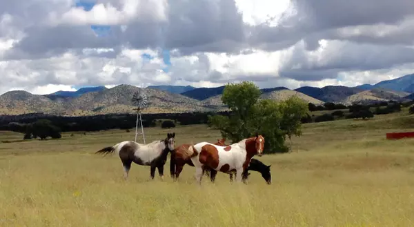 Patagonia, AZ 85624,000 Forest Road 4748 Road