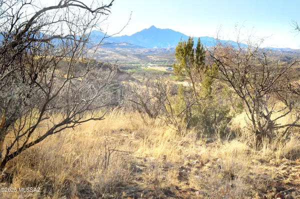 Patagonia, AZ 85624,TBD Harshaw Road #Lot 3