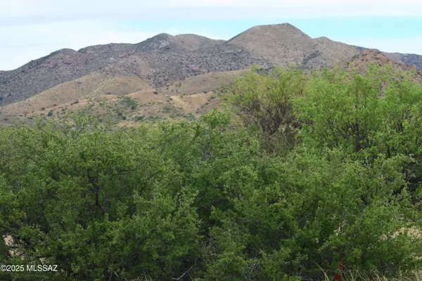 St. David, AZ 85630,Lot 153 N Bear Run  #153