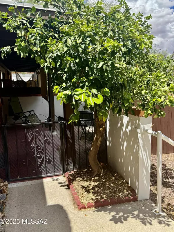 Green Valley, AZ 85614,346 S Paseo Aguila  #UNIT C